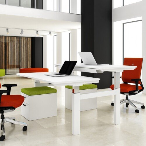 Elite Progress Electric Sit & Stand Rectangular Desk 1600 x 800mm