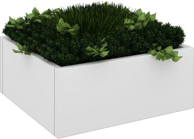 Elite Cubeform Plants for Single Box